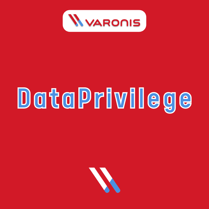 DataPrivilege