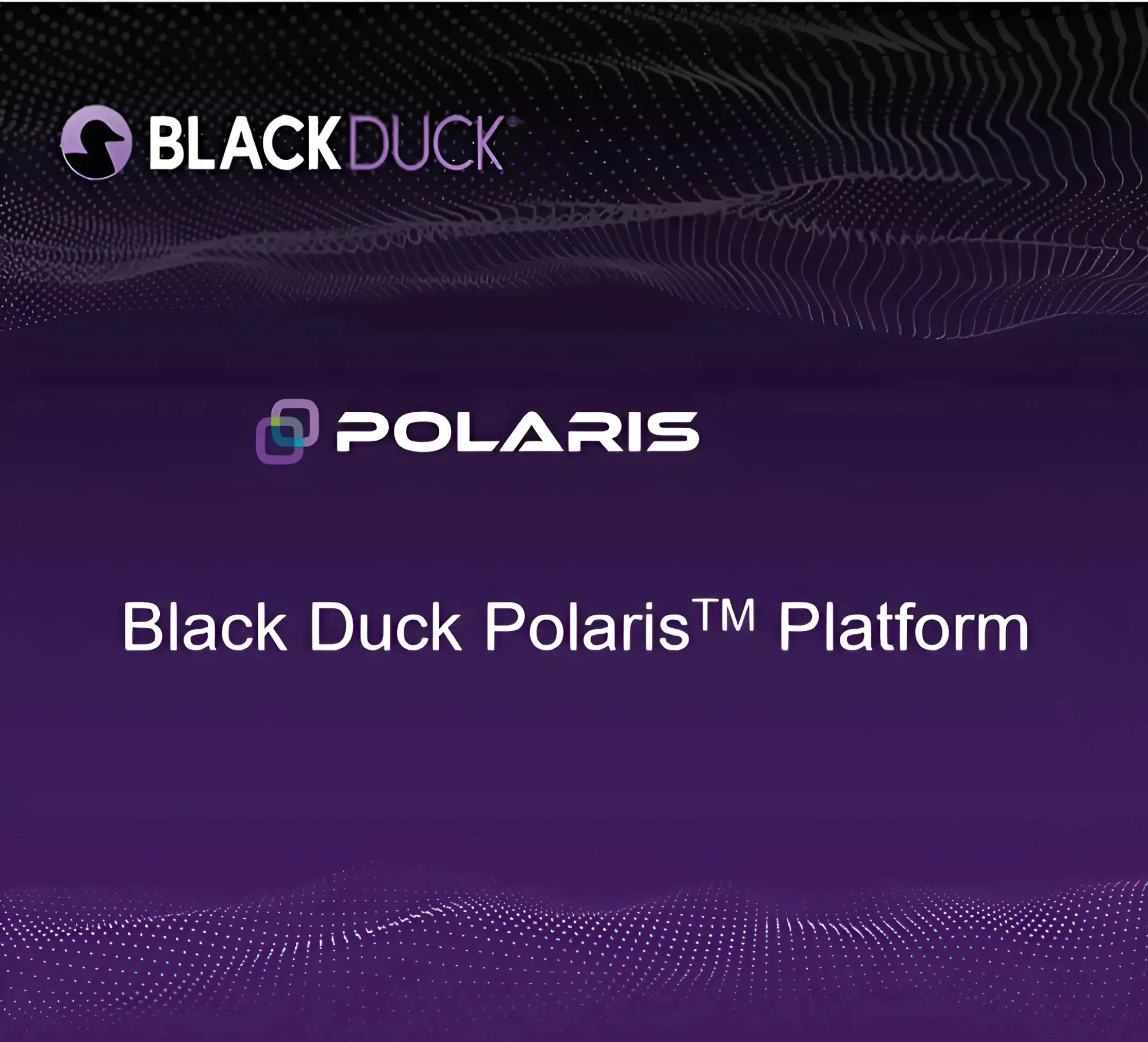 Polaris Software Integrity